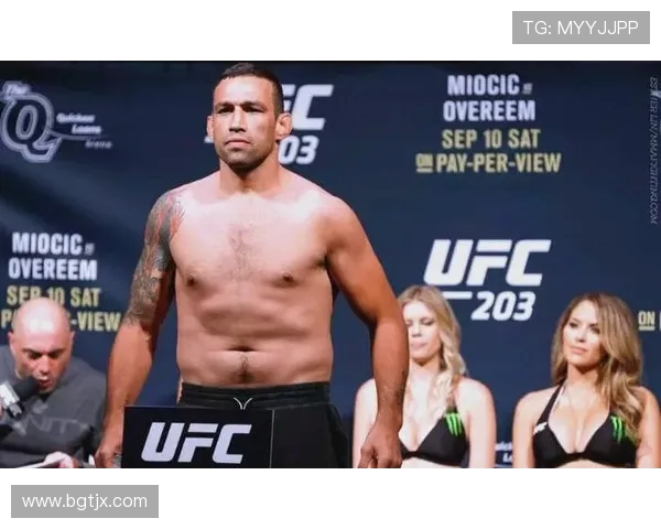 UFC温盾对决菲多精彩回顾与赛后分析揭示拳坛新格局